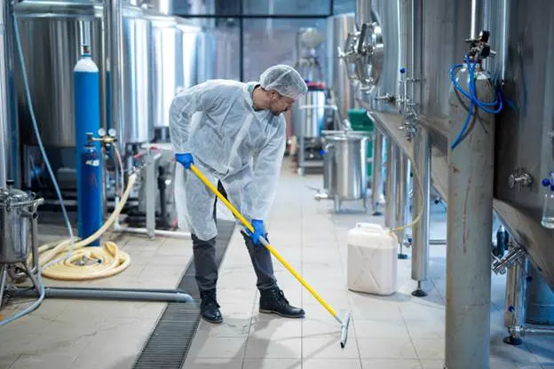 Commercial mould remediation services Sunshine