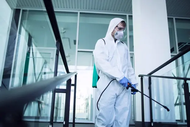 Professional mould removal services Sunshine Coast
