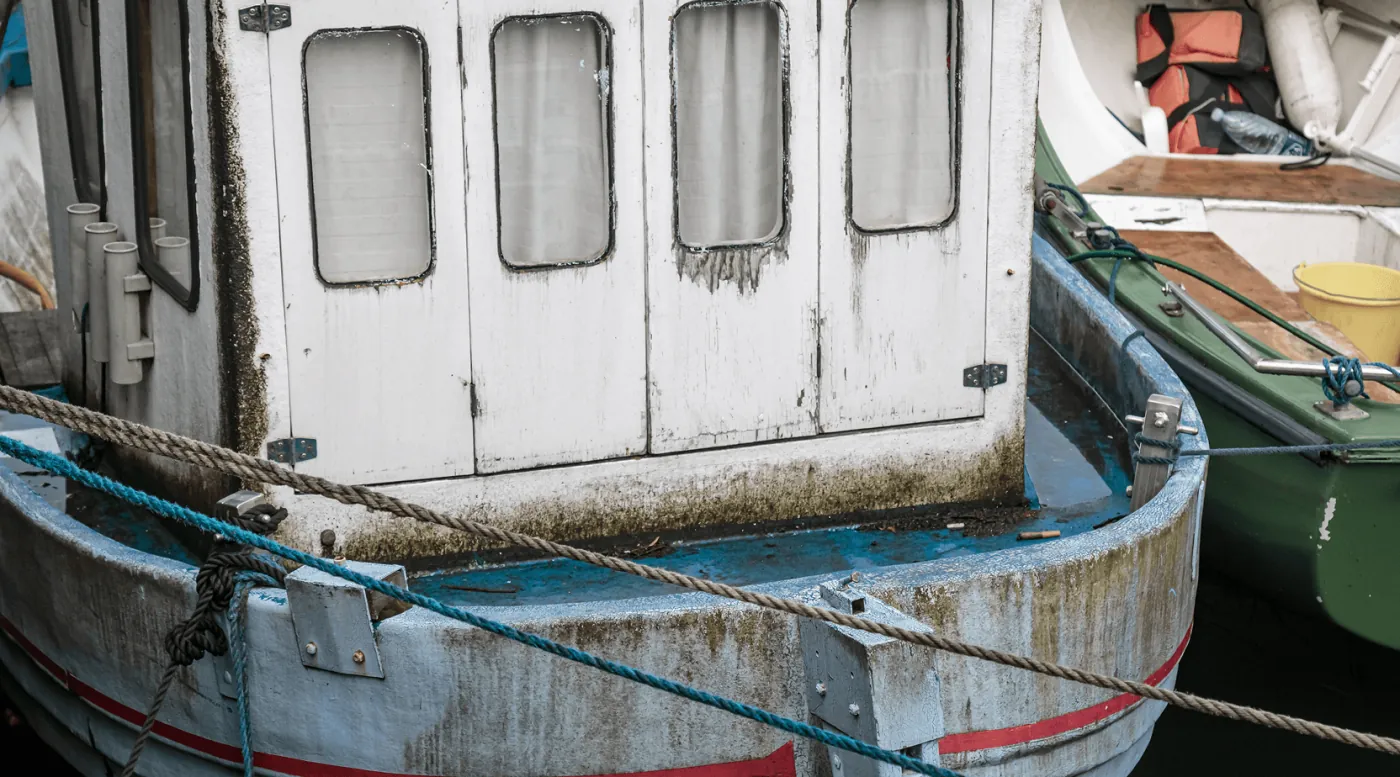 Boats example, before treatment